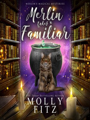 cover image of Merlin Takes a Familiar